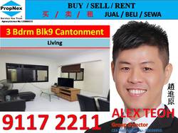 Blk 9 Cantonment Close (Bukit Merah), HDB 4 Rooms #163571082